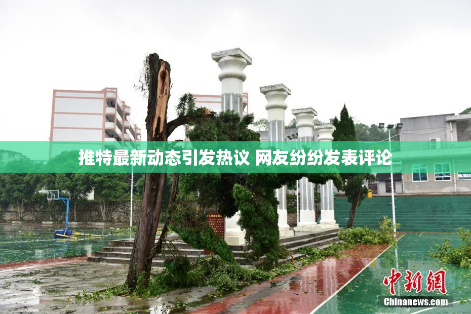 推特最新动态引发热议 网友纷纷发表评论