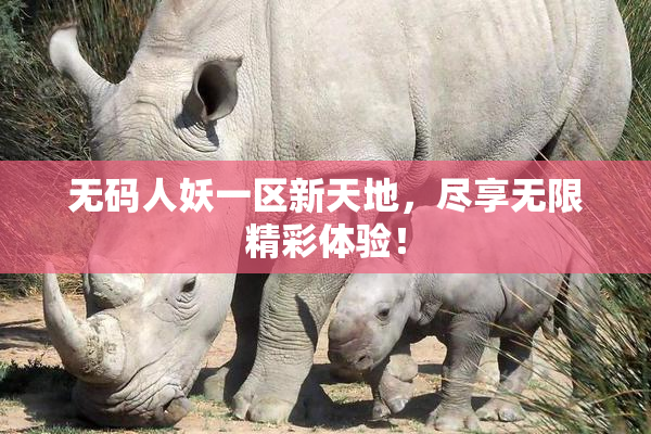 无码人妖一区新天地，尽享无限精彩体验！