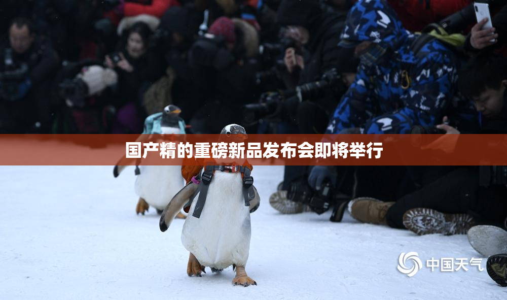 国产精的重磅新品发布会即将举行
