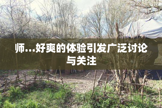 师…好爽的体验引发广泛讨论与关注