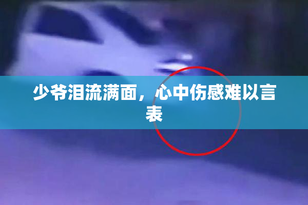 少爷泪流满面，心中伤感难以言表