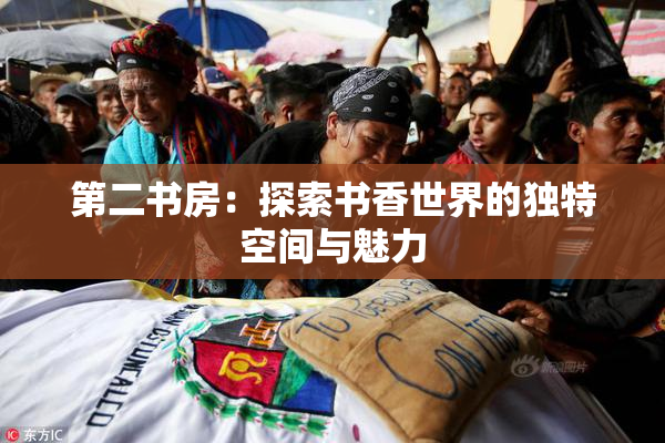 第二书房：探索书香世界的独特空间与魅力
