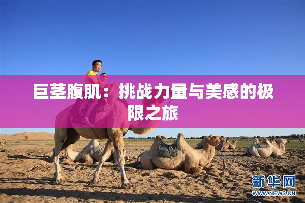 巨茎腹肌：挑战力量与美感的极限之旅