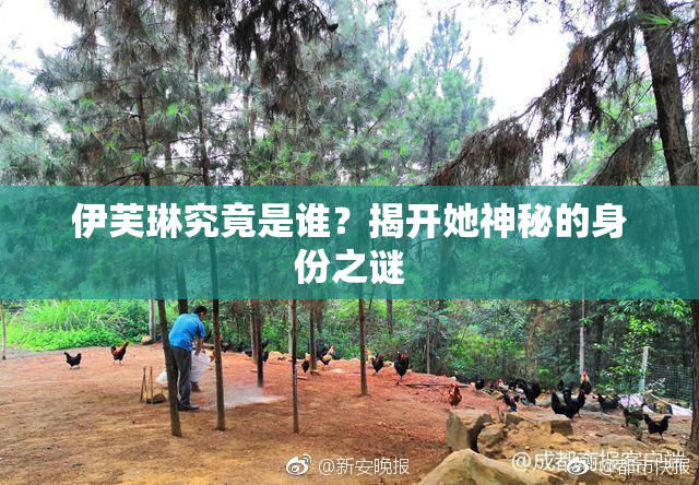 伊芙琳究竟是谁？揭开她神秘的身份之谜