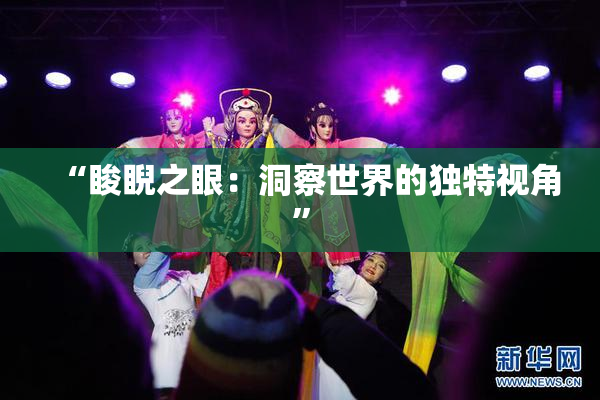 “睃睨之眼：洞察世界的独特视角”