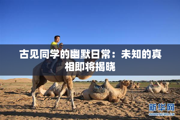 古见同学的幽默日常：未知的真相即将揭晓