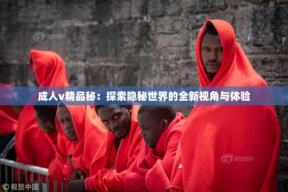 成人v精品秘：探索隐秘世界的全新视角与体验
