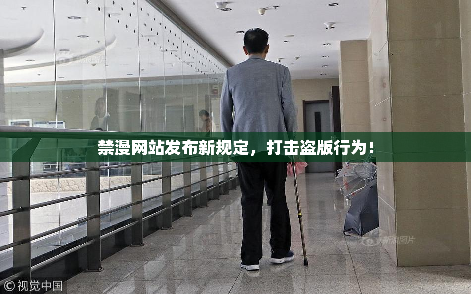 禁漫网站发布新规定，打击盗版行为！