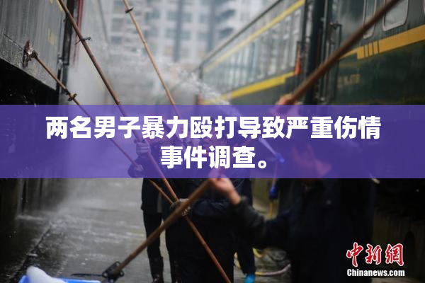 两名男子暴力殴打导致严重伤情事件调查。
