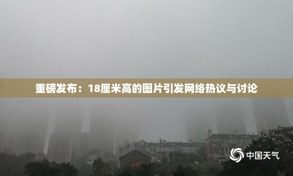 重磅发布：18厘米高的图片引发网络热议与讨论