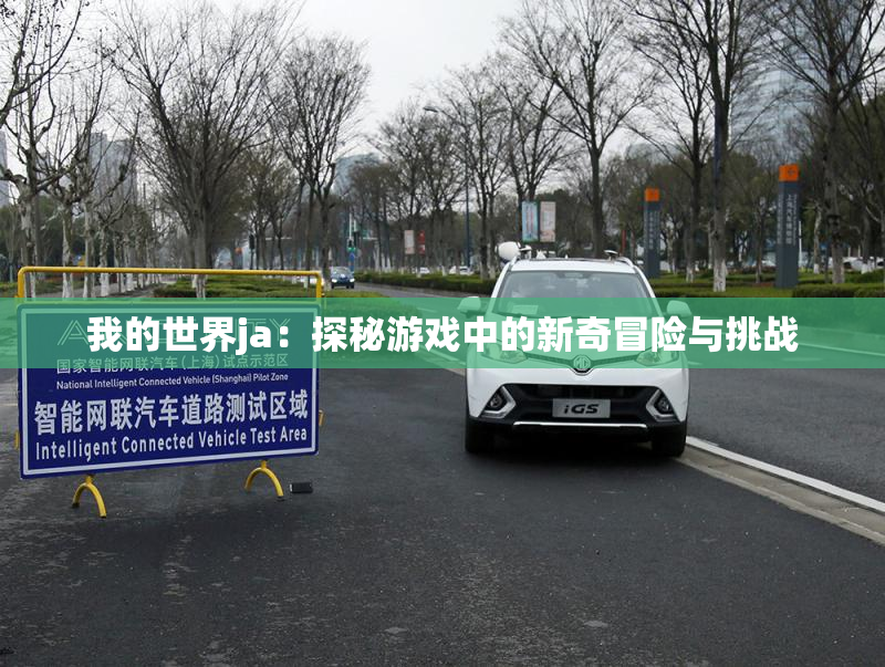 我的世界ja：探秘游戏中的新奇冒险与挑战