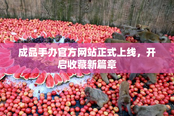 成品手办官方网站正式上线，开启收藏新篇章