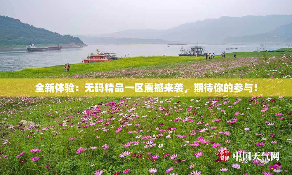 全新体验：无码精品一区震撼来袭，期待你的参与！