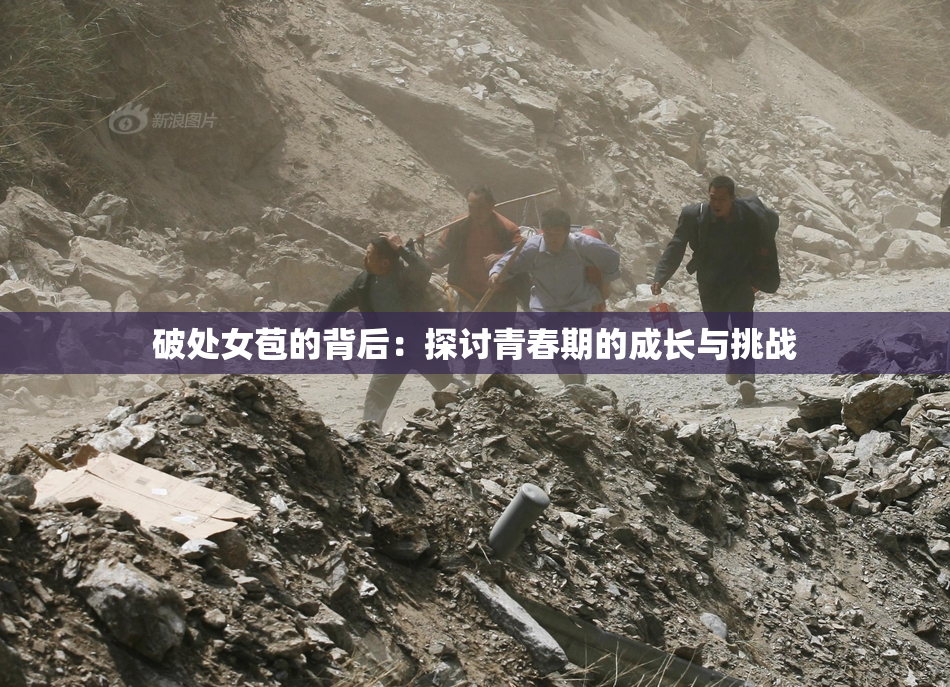 破处女苞的背后：探讨青春期的成长与挑战