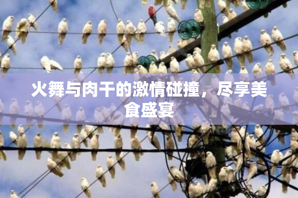 火舞与肉干的激情碰撞，尽享美食盛宴