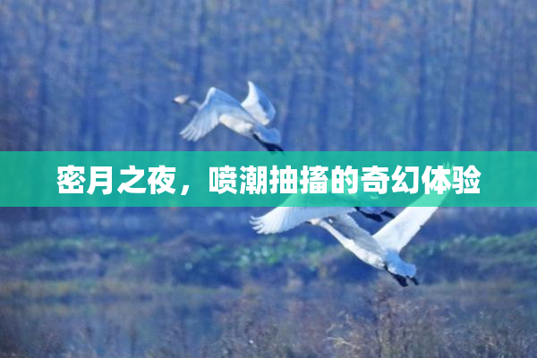 密月之夜，喷潮抽搐的奇幻体验