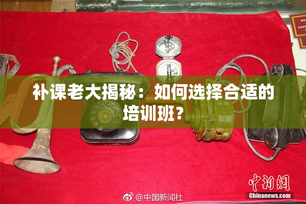 补课老大揭秘：如何选择合适的培训班？
