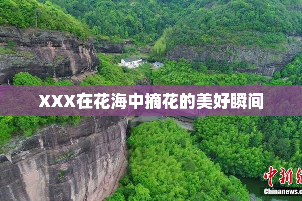XXX在花海中摘花的美好瞬间