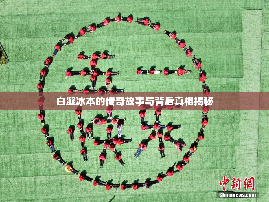 白凝冰本的传奇故事与背后真相揭秘