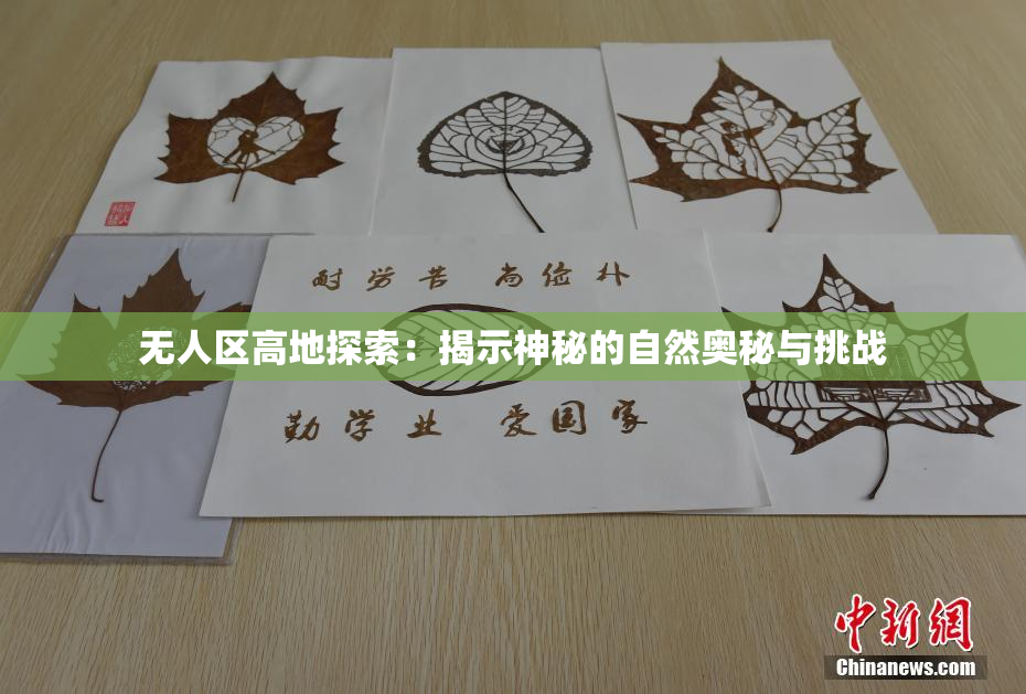 无人区高地探索：揭示神秘的自然奥秘与挑战