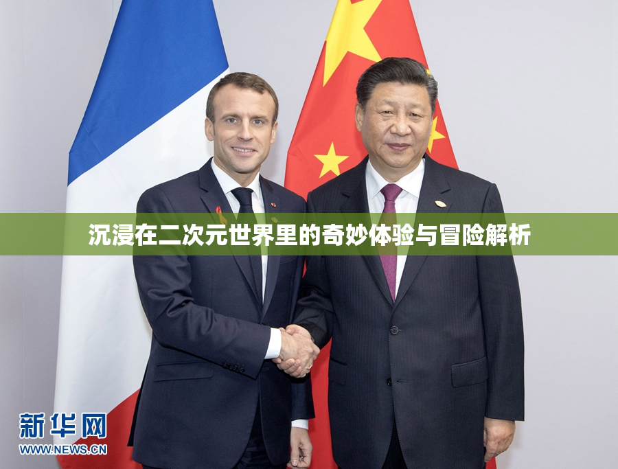 沉浸在二次元世界里的奇妙体验与冒险解析