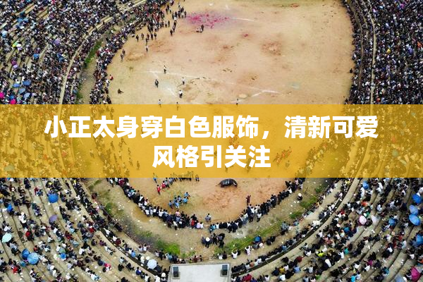 小正太身穿白色服饰，清新可爱风格引关注