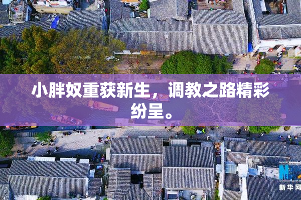 小胖奴重获新生，调教之路精彩纷呈。