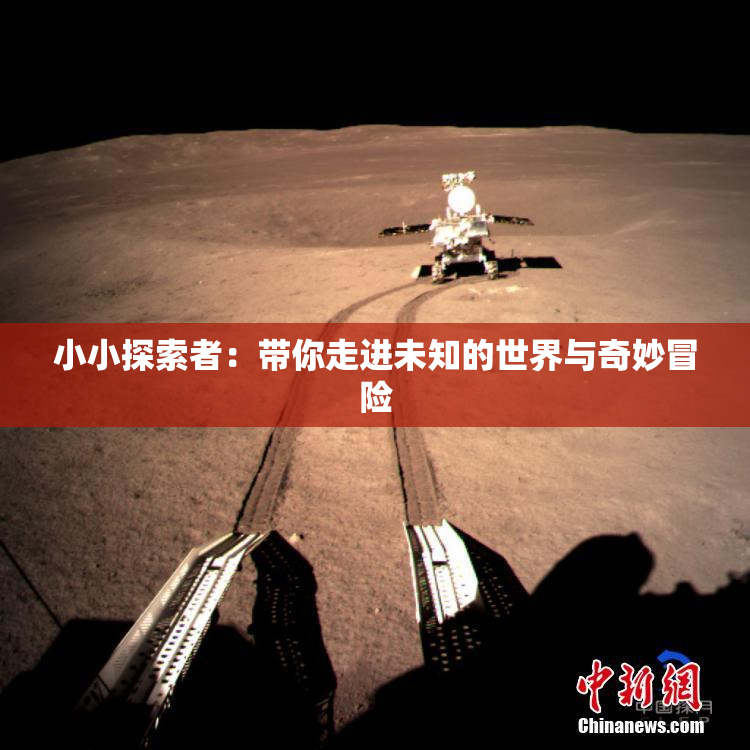小小探索者：带你走进未知的世界与奇妙冒险