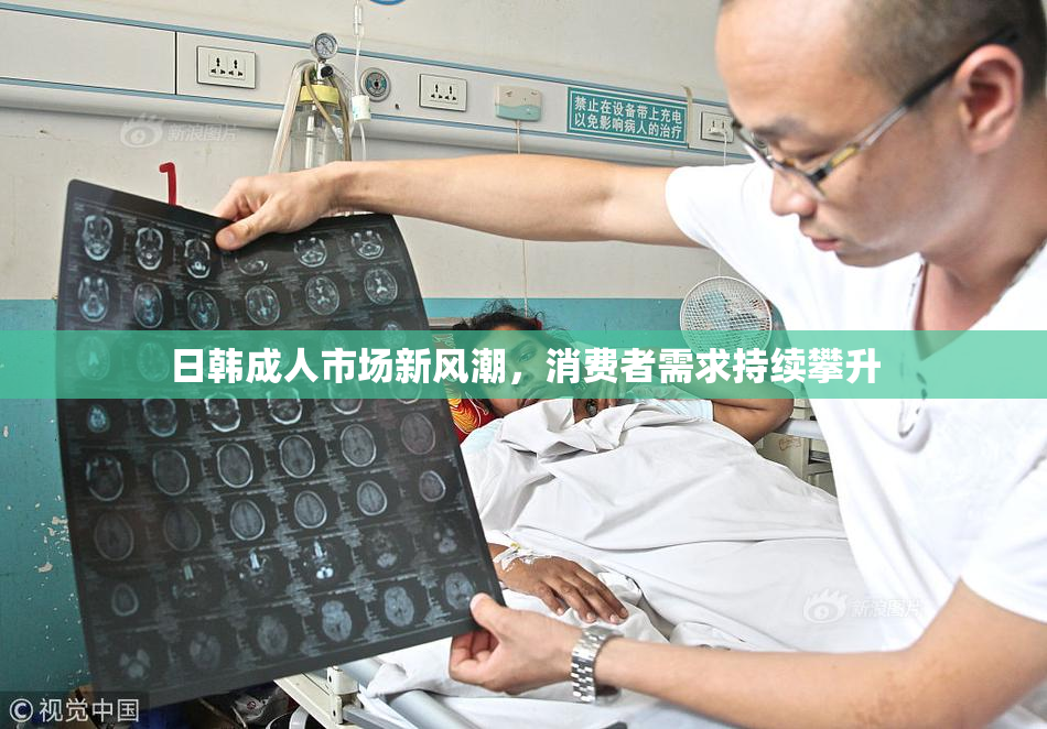 日韩成人市场新风潮，消费者需求持续攀升