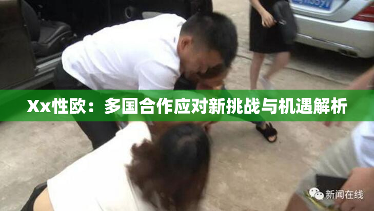 Xx性欧：多国合作应对新挑战与机遇解析