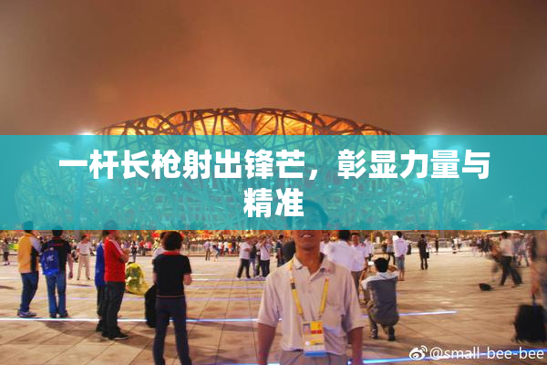 一杆长枪射出锋芒，彰显力量与精准
