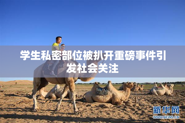 学生私密部位被扒开重磅事件引发社会关注