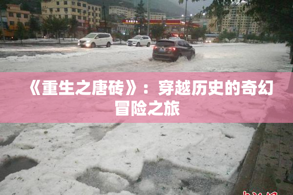 《重生之唐砖》：穿越历史的奇幻冒险之旅