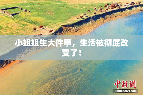 小姐姐生大件事，生活被彻底改变了！