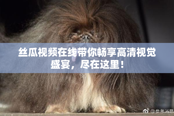 丝瓜视频在线带你畅享高清视觉盛宴，尽在这里！