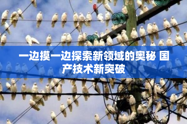 一边摸一边探索新领域的奥秘 国产技术新突破