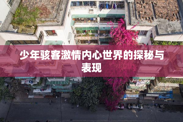 少年骇客激情内心世界的探秘与表现