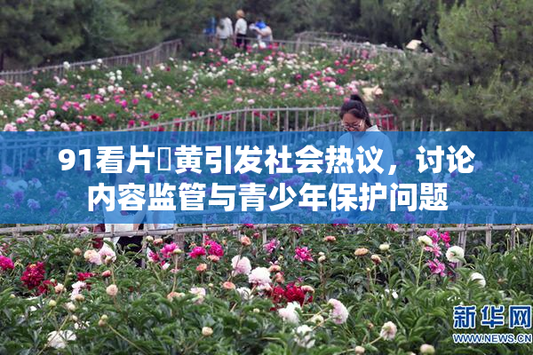 91看片婬黄引发社会热议，讨论内容监管与青少年保护问题