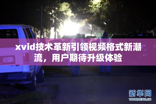 xvid技术革新引领视频格式新潮流，用户期待升级体验