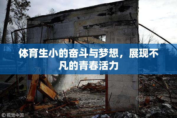 体育生小的奋斗与梦想，展现不凡的青春活力