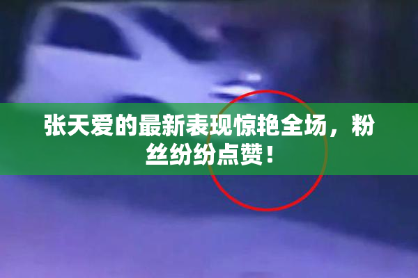 张天爱的最新表现惊艳全场，粉丝纷纷点赞！