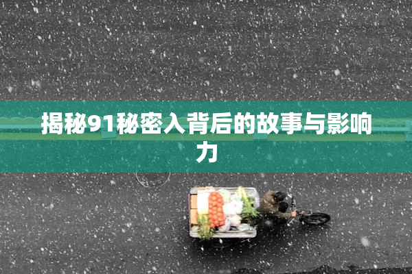 揭秘91秘密入背后的故事与影响力