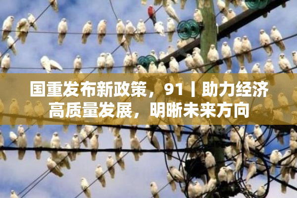 国重发布新政策，91丨助力经济高质量发展，明晰未来方向
