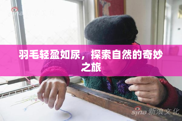 羽毛轻盈如尿，探索自然的奇妙之旅