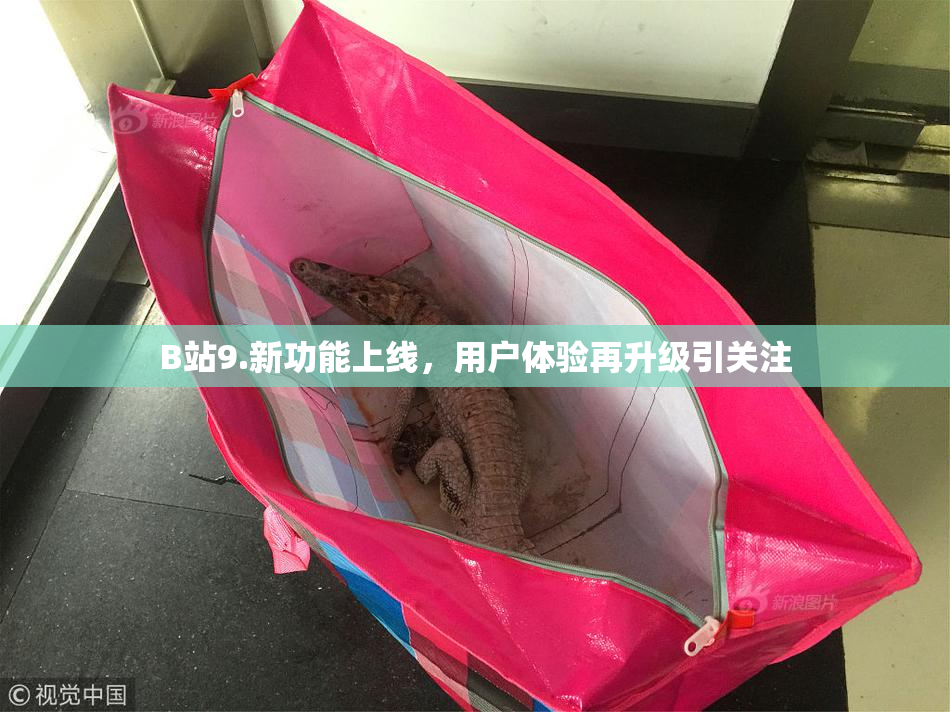 B站9.新功能上线，用户体验再升级引关注