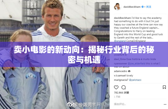 卖小电影的新动向：揭秘行业背后的秘密与机遇
