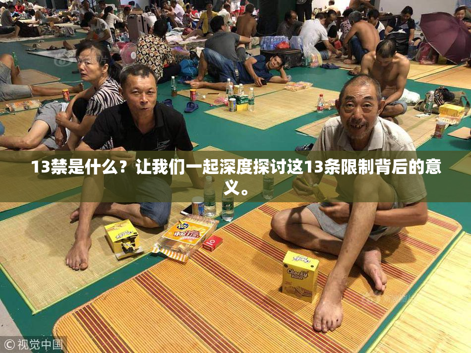 13禁是什么？让我们一起深度探讨这13条限制背后的意义。
