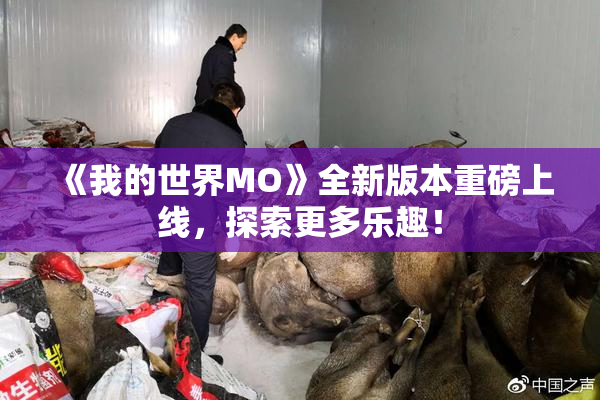 《我的世界MO》全新版本重磅上线，探索更多乐趣！
