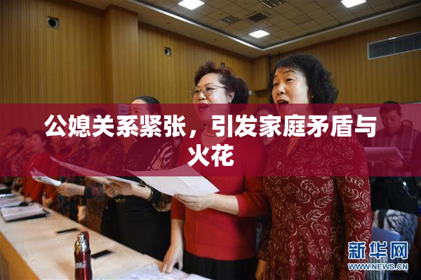 公媳关系紧张，引发家庭矛盾与火花