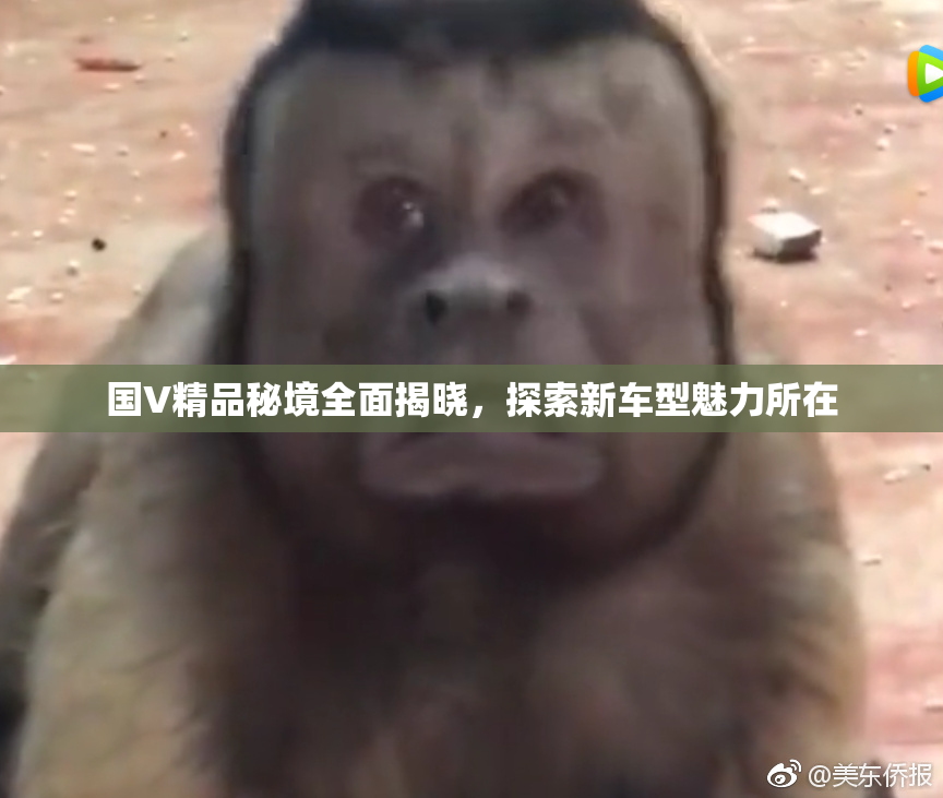 国V精品秘境全面揭晓，探索新车型魅力所在